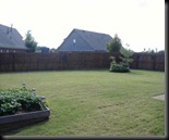 backyard 2