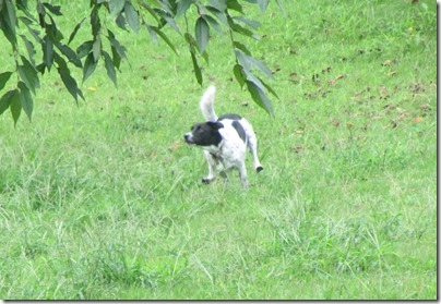IMG_5902 IMG_5902