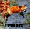 [vulpix.png]