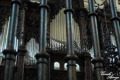 organo-basilica-del-pilar