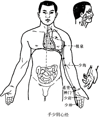心經,手少陰心經,十二經絡 心經,手少陰心經,十二經絡