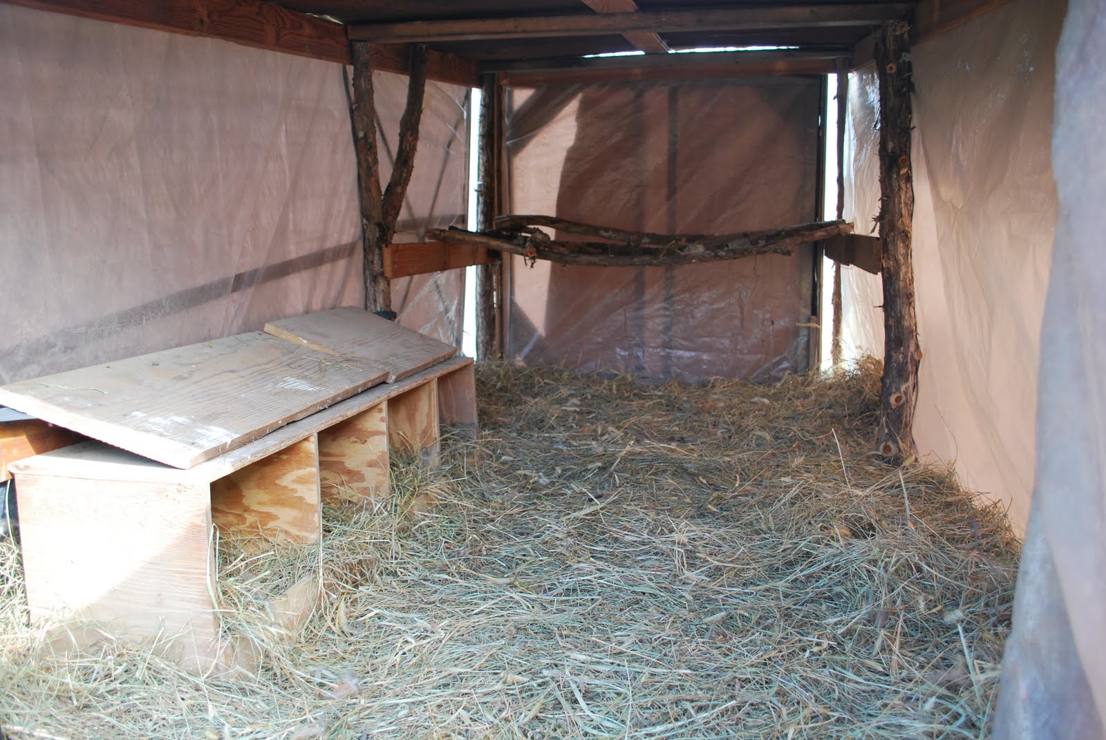 Inside Chicken Coop Here's an inside look at the