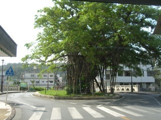 CIMG2346
