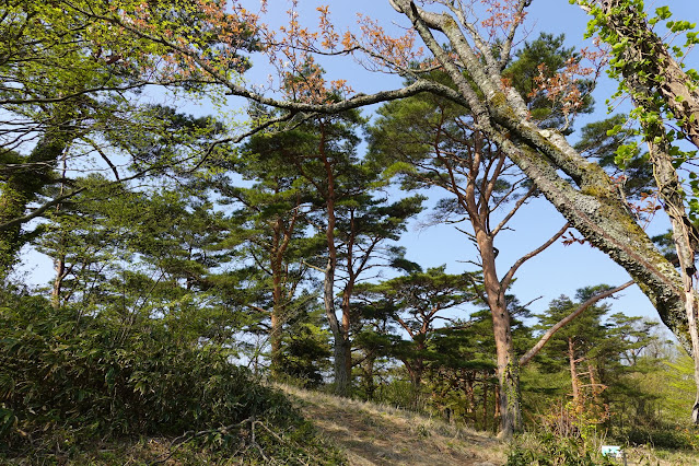 鳥取県東伯郡琴浦町山川　船上山