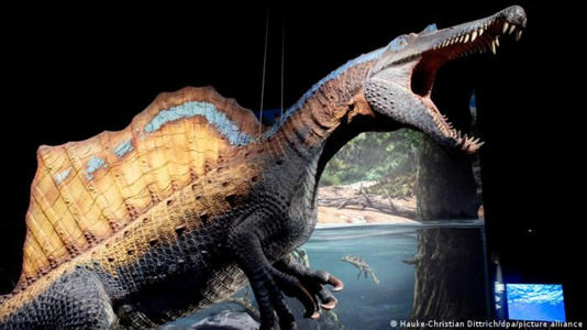 علماء يعيدون بناء دماغ أكبر ديناصور آكل للحوم عاش قبل 125 مليون سنة