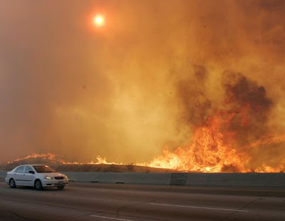 forest fire in USA