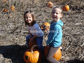 pumpkin patch