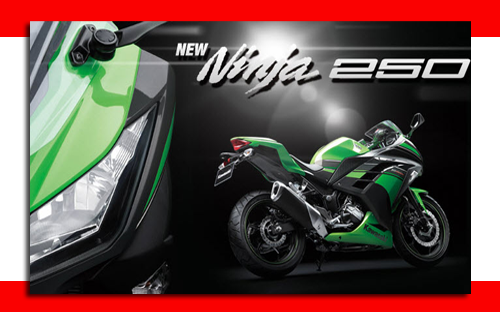 Kawasaki Ninja 250 R