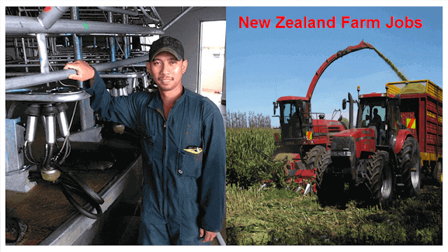 To connect offshore workers with New Zealand employers as farm workers apply