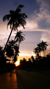 P1060086