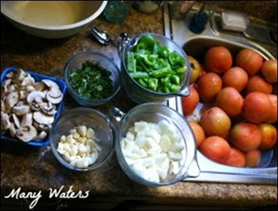 Many Waters Ingredients