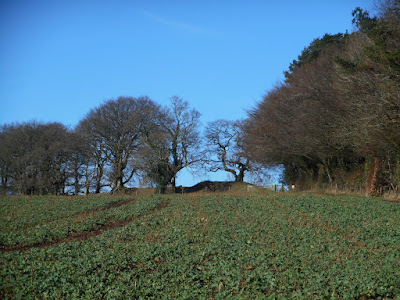 Cadbury Castle, Devon. Photograph copyright © Belinda Whitworth 2021