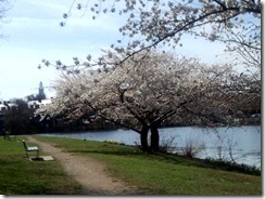 2012-04-01 10.44.04