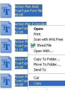 add windows font