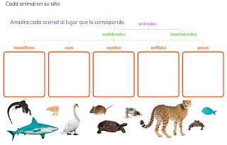 http://primerodecarlos.com/SEGUNDO_PRIMARIA/diciembre/Unidad5/actividades/cono/animales2.swf