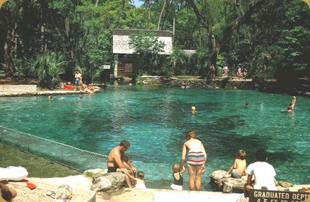 Juniper Springs 1969