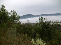 La Serra de Font-rubí sobresurtin enmig de la boira, vista tot pujant al Turó de les Bruixes