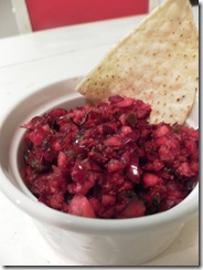 cranberry salsa 01