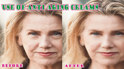 Top 6 Anti Aging Creams for Women