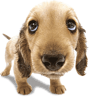 clip_image001