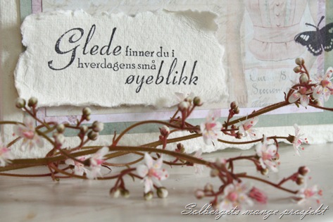 IMG_1288 til blogg