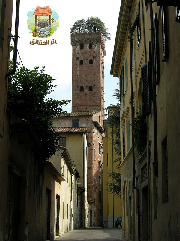 برج توري غينيجي في لوكا، إيطاليا، التي شيد في عام 1300 وعلى قمة سطحه  سبع أشجار بلوط  بعمر 100 عام