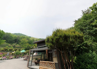 흡연-구역