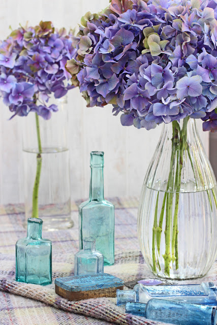 Hydrangea and blue bottles on a blanket