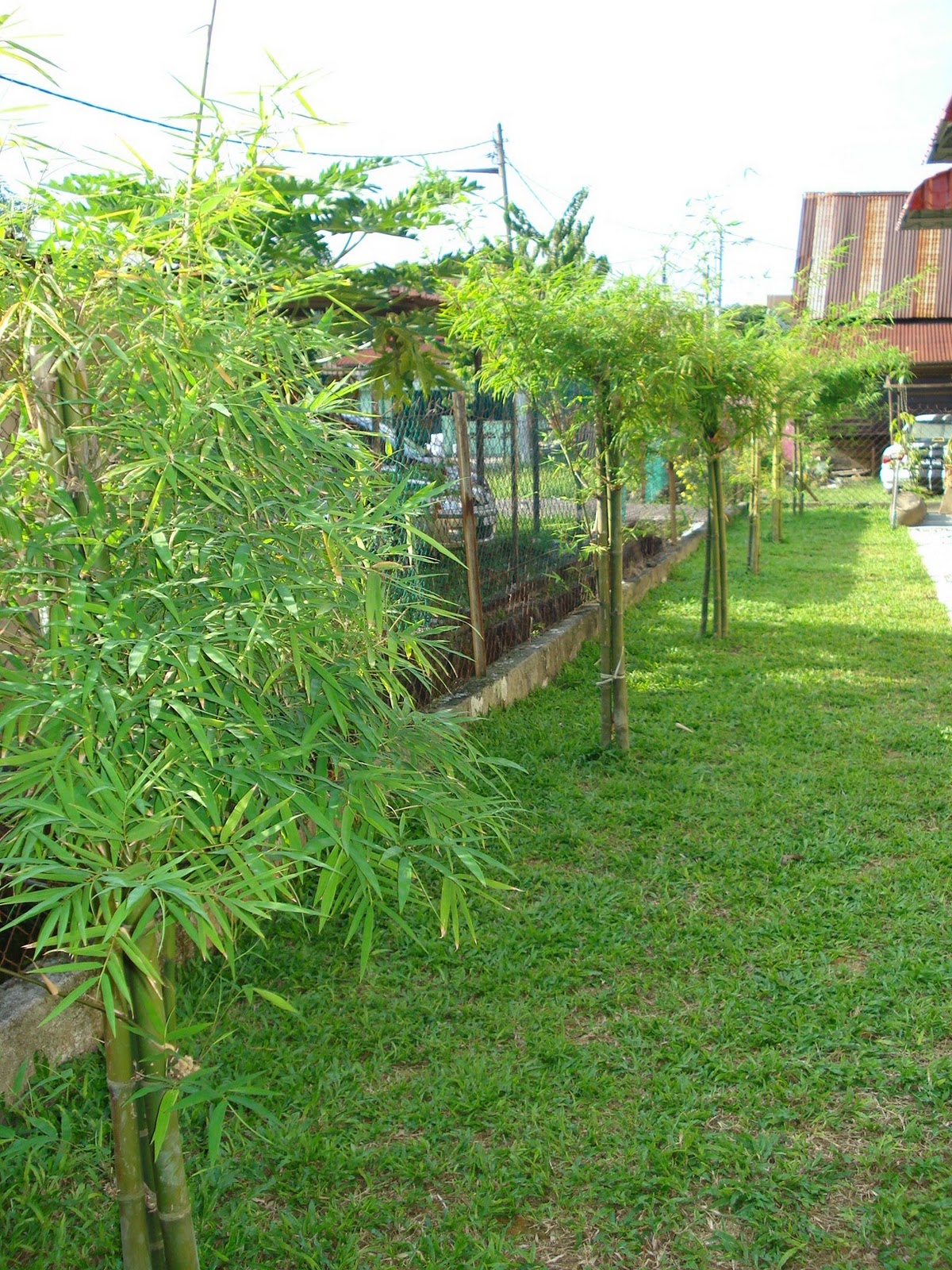 SEKILAU one Landskap  buluh
