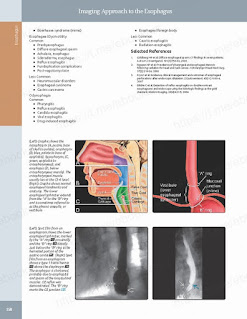 Diagnostic Imaging: Gastrointestinal E-Book 3rd Edition