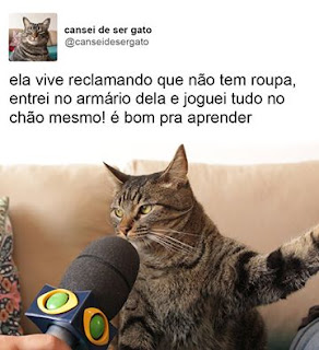 Foto. Na caixa de uma rede social. No canto superior esquerdo a pequena foto de frente do peito para cima de um gato, Chico, pelagem cinza com algumas listras pretas verticais na cabeça e horizontais ao longo do corpo, os olhos, estão quase fechados, à direita lê-se: cansei de ser gato; e abaixo: arrobacanseidesergato. Abaixo, uma foto maior e em destaque, um microfone preto com a logomarca de uma TV bem próximo à boca de Chico entre os longos bigodes brancos dele, a patinha direita ao alto, como se discursasse e à esquerda, parte de uma almofada com estampa colorida. Acima lê-se: ela vive reclamando que não tem roupa, entrei no armário dela e joguei tudo no chão mesmo! É bom pra aprender