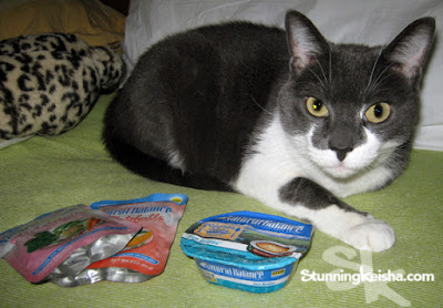 Cats with sensitive tummies can eat Natural Balance grain-free cat food and I’ll tell you why