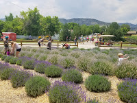 Denver Botanic Gardens Chatfield Csa