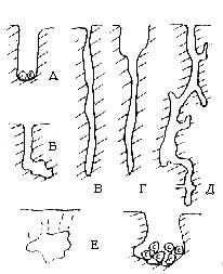 Морфологические типы карстовых полостей (по Г.А. Максимовичу)