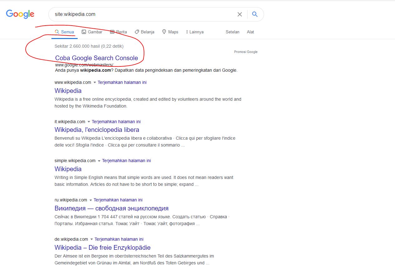 Jumlah Postingan Wikipedia yang di Index Google