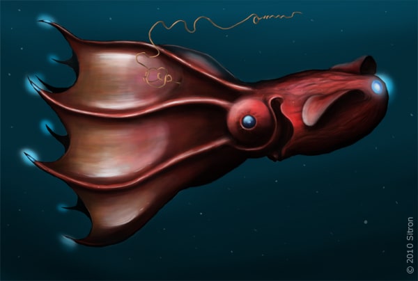 Vampire Squid, Inhabitants of the Sea in Darkness Protected by Light