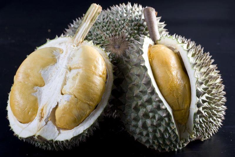 durian hitam