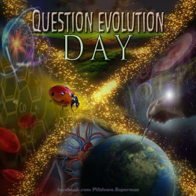 The tenth annual Question Evolution Day