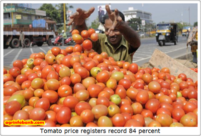 Tomato price registers record 84 percent hike in July Tomato price registers record 84 percent hike in July