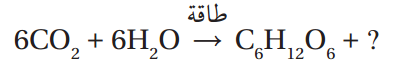 عملية البناء الضوئي