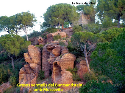 Vista de la formació de gresos vermells del Bundsandstein amb moscovita que hi ha a sota de la Torre del Clos