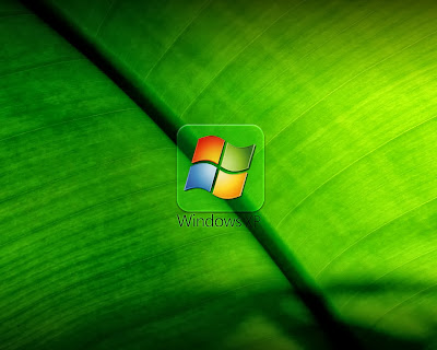 Windows XP Images