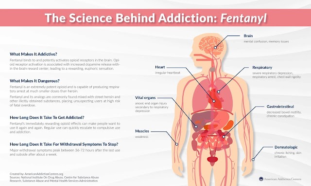 The Long Road: How Addiction Affects Lifelong Health 2024