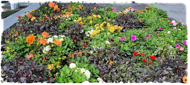 Blomsterbed utenfor Furuset senter på Trygve Lies plass på Furuset i Bydel Alna i Oslo.