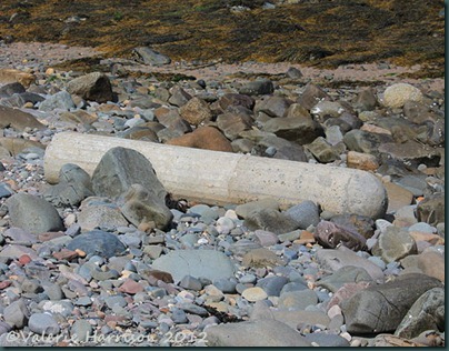 6-bollard