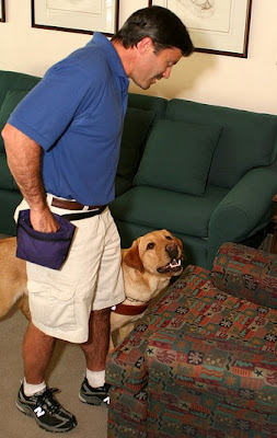 Instructor Todd Jurek uses food reward to teach a yellow Lab to find an empty chair