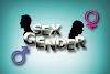 Understanding the difference between Sex and Gender - By Imrana Garba