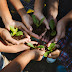 Celebrating Earth Day With Your Children