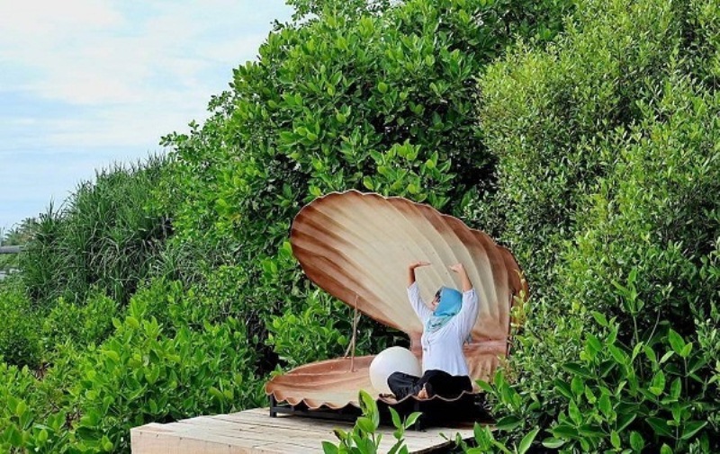 Hutan Mangrove Kulon Progo