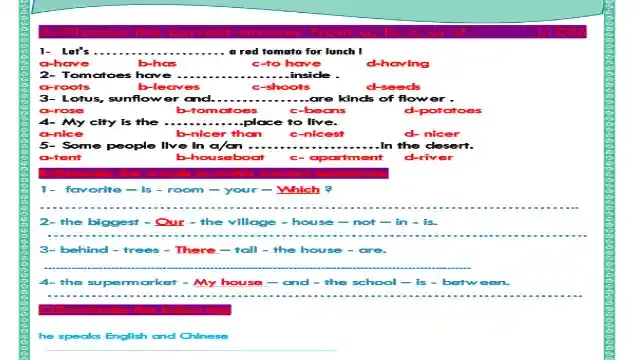 ابسط مراجعة لامتحان شهر نوفمبر فى اللغة الانجليزية كونكت 4 للصف الرابع الابتدائى ترم اول 2024